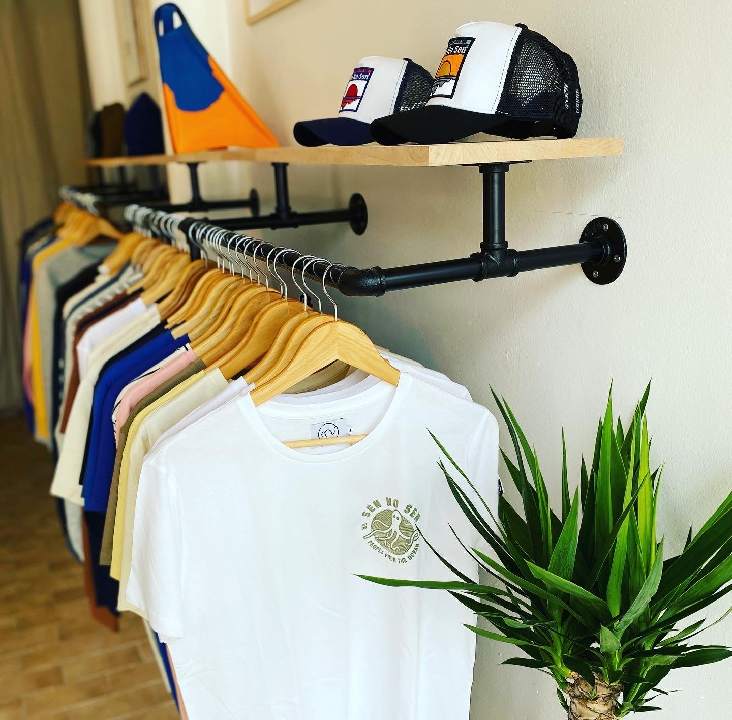 Collection Image