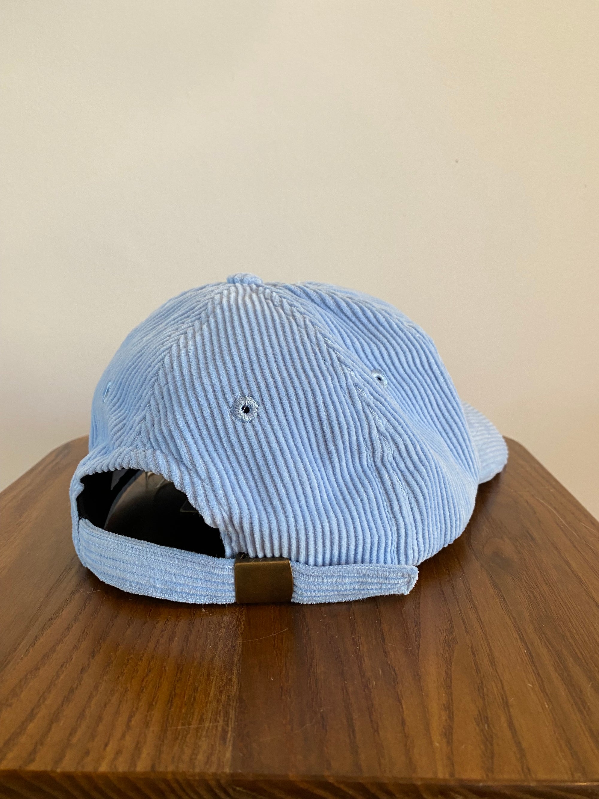 6panel velours Octopus | Light Blue